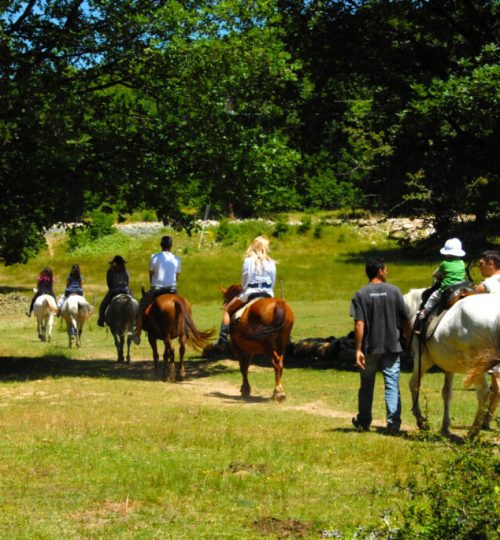 ab9dca99 1022 41e7 905b c5ecfc859cc2